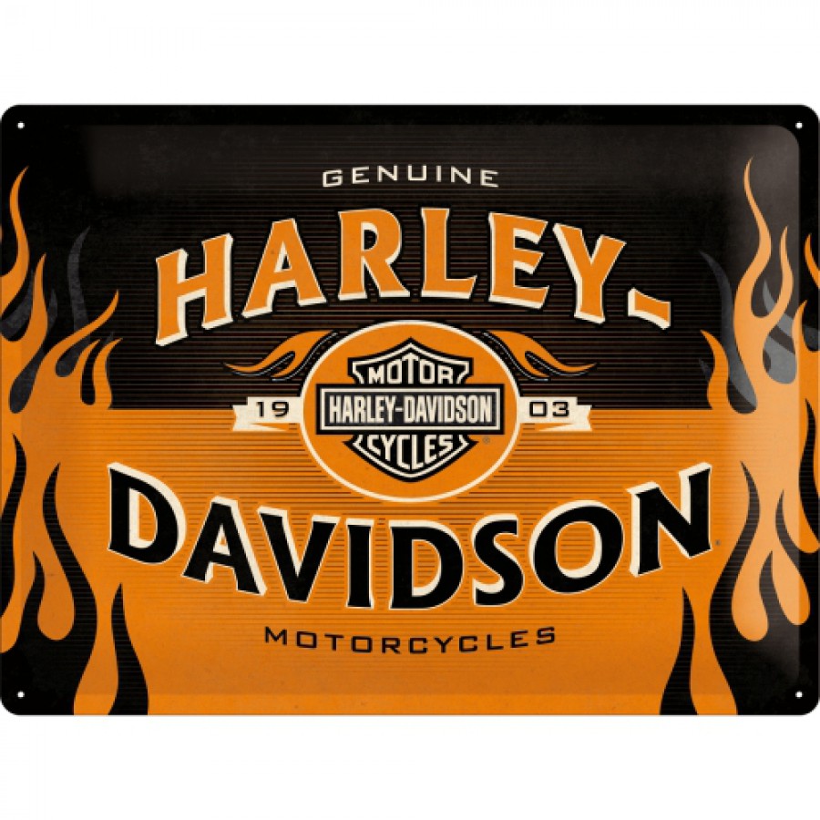 Placa metalica 30x40 Harley Davidson logo Orange