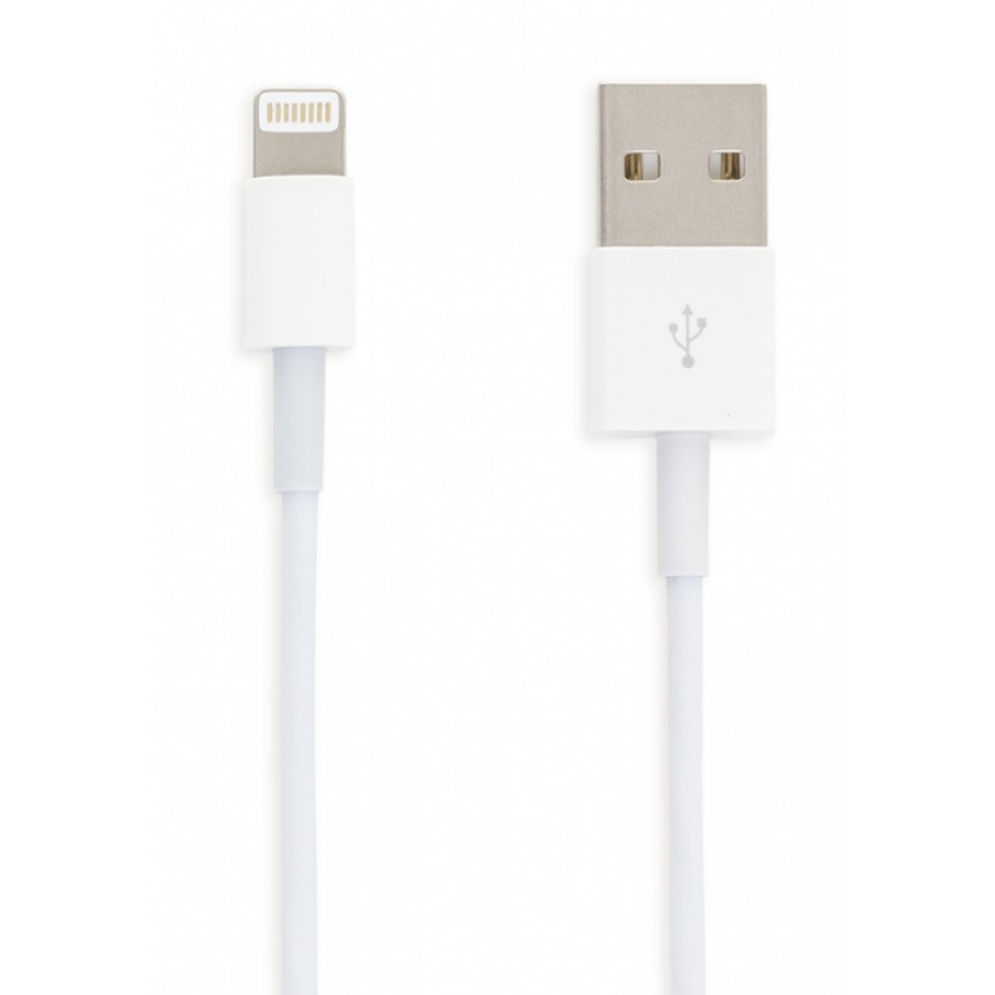 iPhone 8 7 6s 6 5s 5c 5 Lightning cable 1