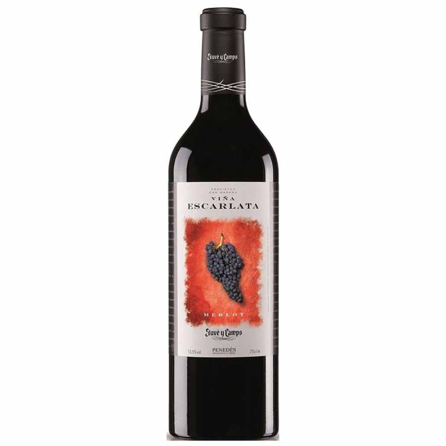 Vina Escarlata Merlot D.O. Penedes